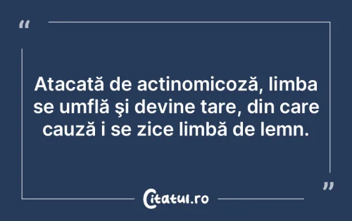 Citat Viață - Citatul.ro