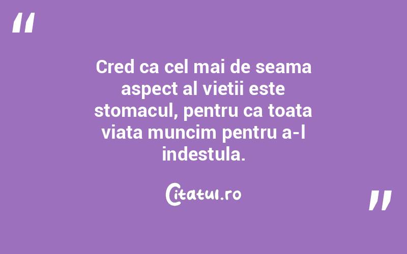 Cred ca cel mai de seama aspect al vietii este stomacul, pentru ca toata viata muncim pentru a-l indestula. 
