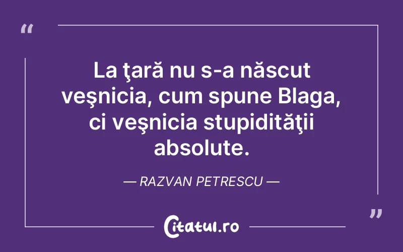Citat Razvan Petrescu - citate viata