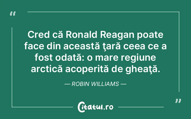 Citat Robin Williams - citate viata