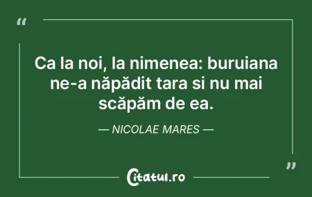 Sărmană Țară! Cu voturi măsluite, c...