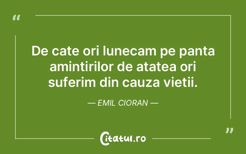 De cate ori lunecam pe panta amintirilor de atatea ori suferim din cauza vietii. Emil Cioran