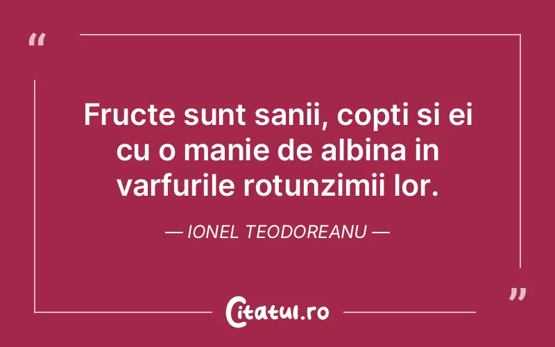 Citat Ionel Teodoreanu - citate viata