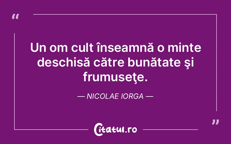 Citat Nicolae Iorga - citate viata