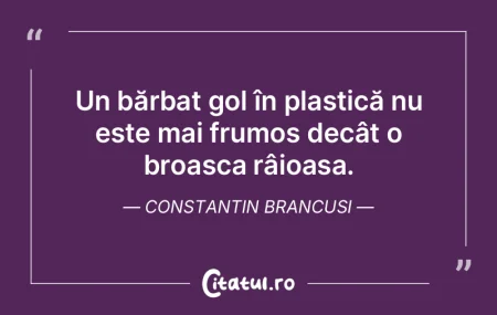 Arta nu se concentrează pe frumusețea ...