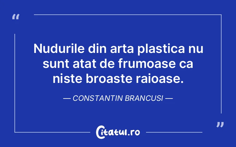 Nudurile din arta plastica nu sunt atat de frumoase ca niste broaste raioase. Constantin Brancusi