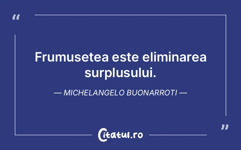 Citat Michelangelo Buonarroti - citate viata