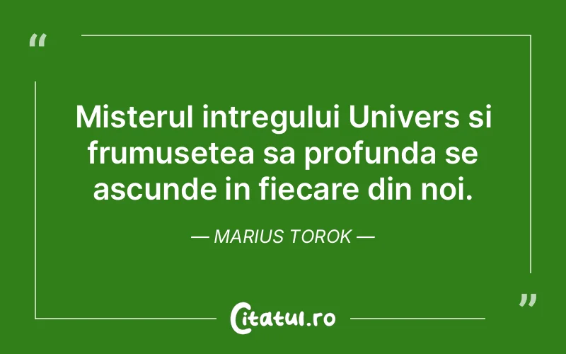Citat Marius Torok - citate viata