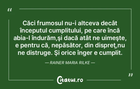 Voi face din Linz capitala culturii mond...