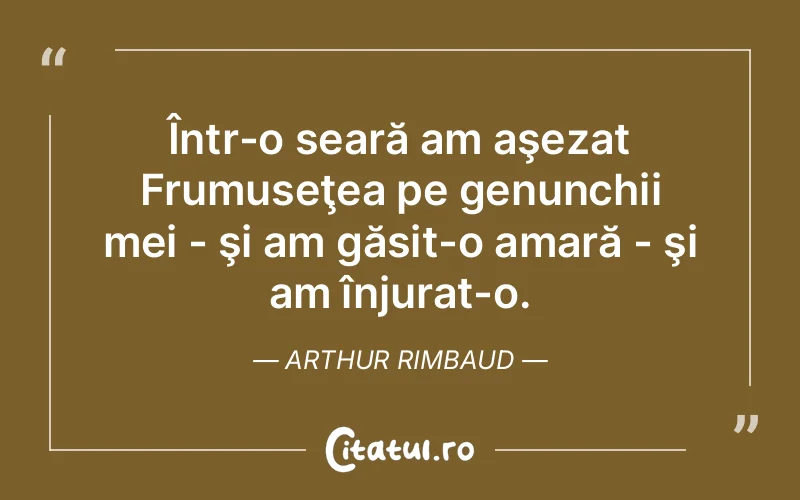Citat Arthur Rimbaud - citate viata