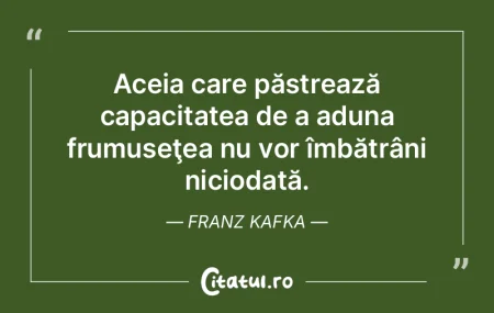 Esenţa artei frumoase, a artei de mare ...