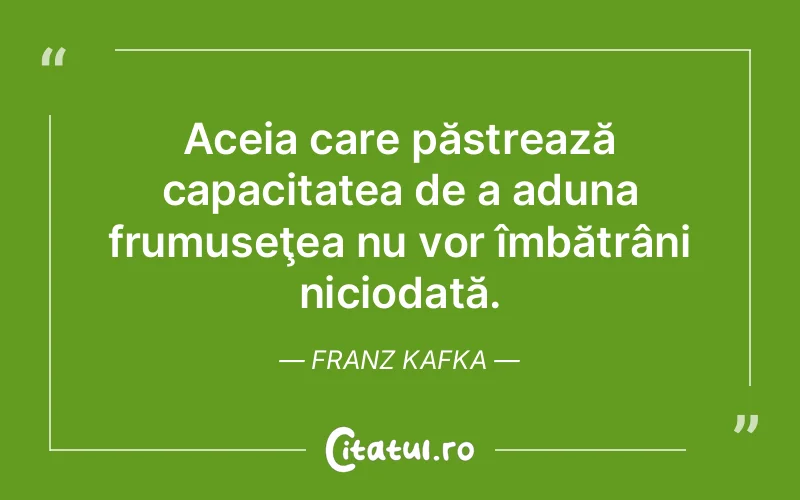 Citat Franz Kafka - citate viata