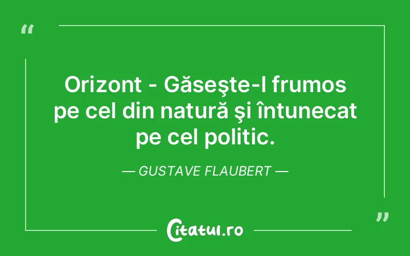 Citat Gustave Flaubert - citate viata
