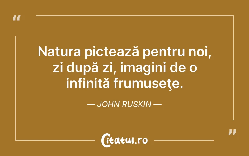 Citat John Ruskin - citate viata