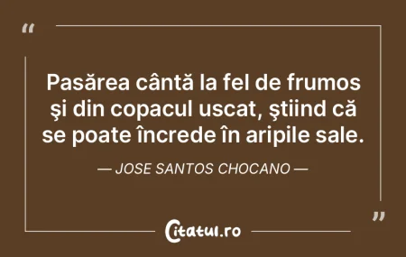 Înainte de a folosi un cuvânt frumos, ... Înainte de a folosi un cuvânt frumos, ...