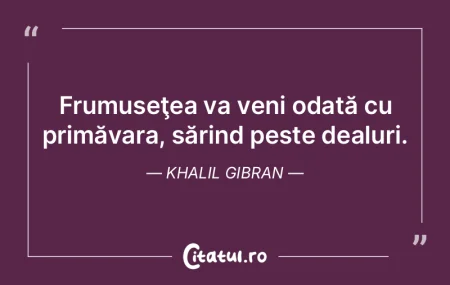 Am zărit frumuseÅ£ea dansând împreunÄ... Am zărit frumuseÅ£ea dansând împreunÄ...
