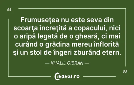 Frumuseţea nu este imaginea pe care ai ... Frumuseţea nu este imaginea pe care ai ...