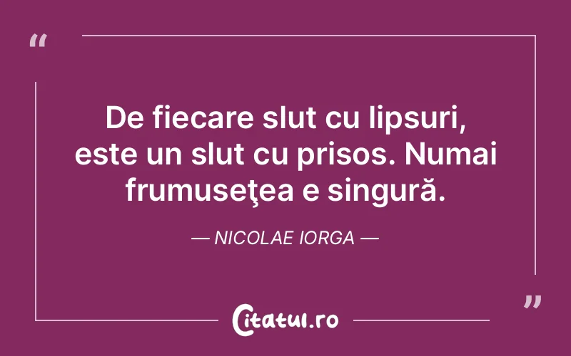 Citat Nicolae Iorga - citate viata