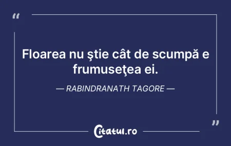 Moda e masca; stilul e frumuseţe. Rabin...