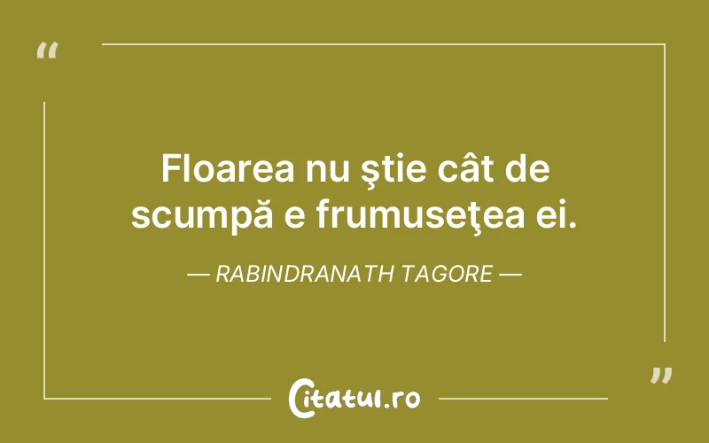 Citat Rabindranath Tagore - citate viata