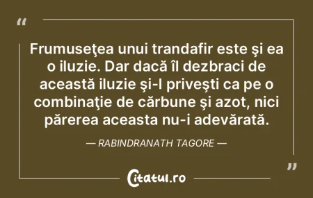 FrumuseÅ£ea fără graÅ£ie este ca un cÃ... FrumuseÅ£ea fără graÅ£ie este ca un cÃ...