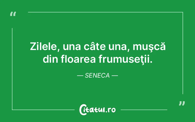 Citat Seneca - citate viata