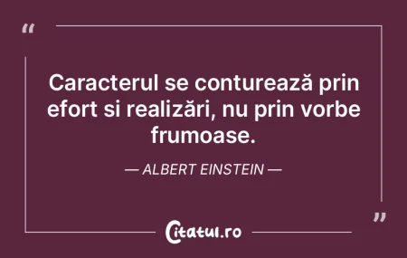 Căutarea sensului vieții ar trebui să... Căutarea sensului vieții ar trebui să...
