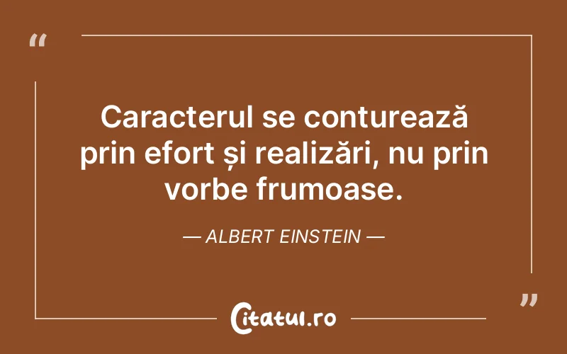 Citat Albert Einstein - citate viata