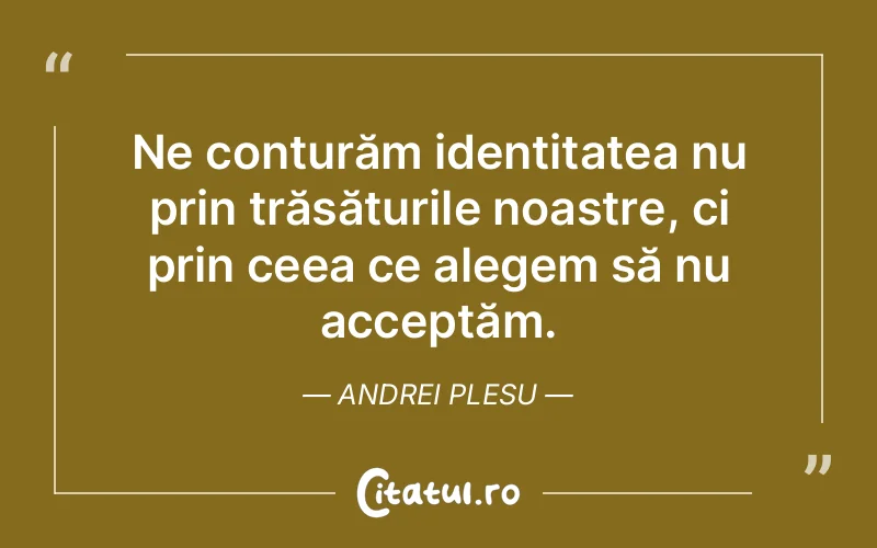 Citat Andrei Plesu - citate viata