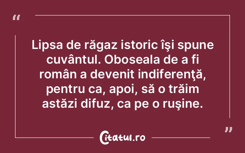 Lipsa de răgaz istoric îşi spune cuvântul. Oboseala de a fi român a devenit indiferenţă, pentru ca, apoi, să o trăim astăzi difuz, ca pe o ruşine.