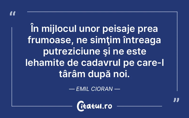 Citat Emil Cioran - citate viata