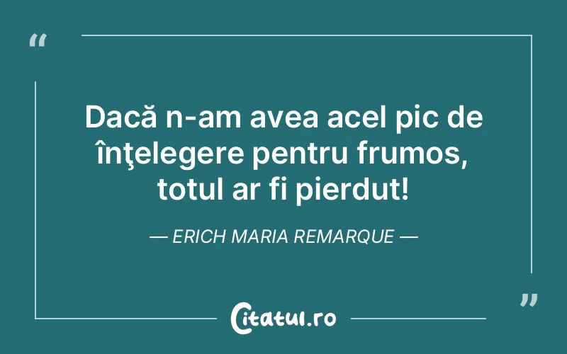 Citat Erich Maria Remarque - citate viata
