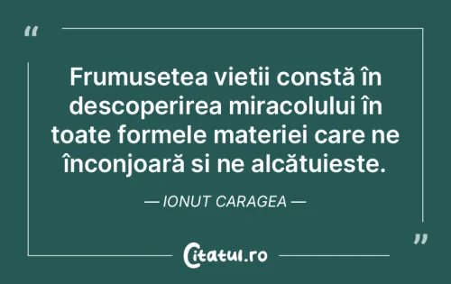 Citat Viață - Citatul.ro