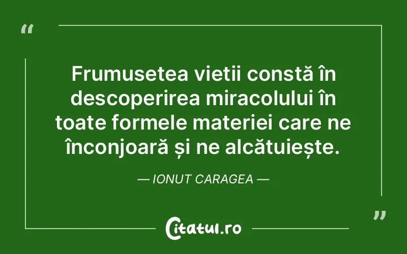 Citat Ionut Caragea - citate viata