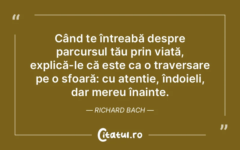 Citat Richard Bach - citate viata