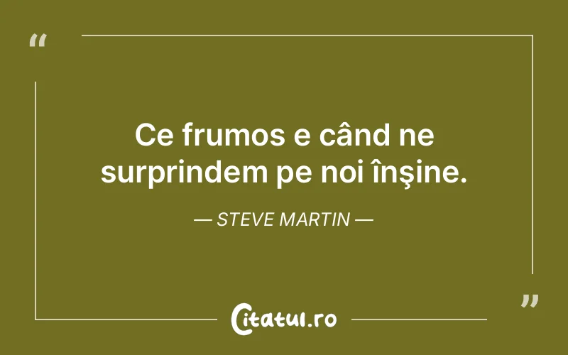 Citat Steve Martin - citate viata