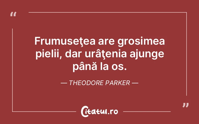 Citat Theodore Parker - citate viata