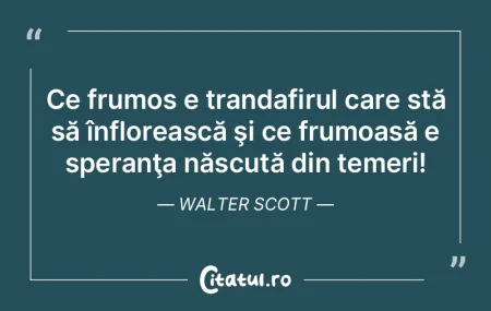 Arta este pentru frumuseţe ceea ce este...