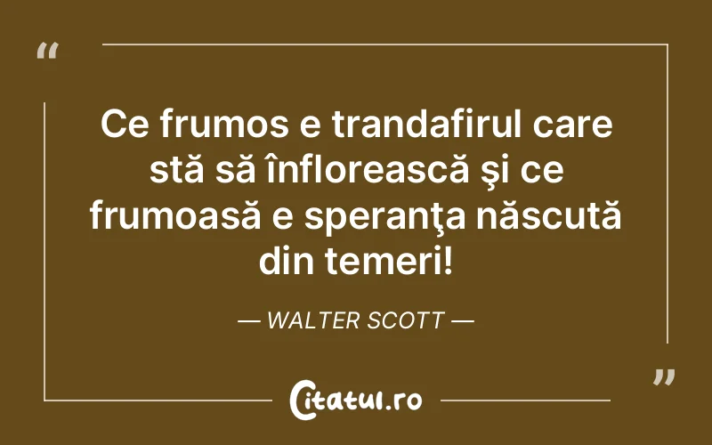 Citat Walter Scott - citate viata