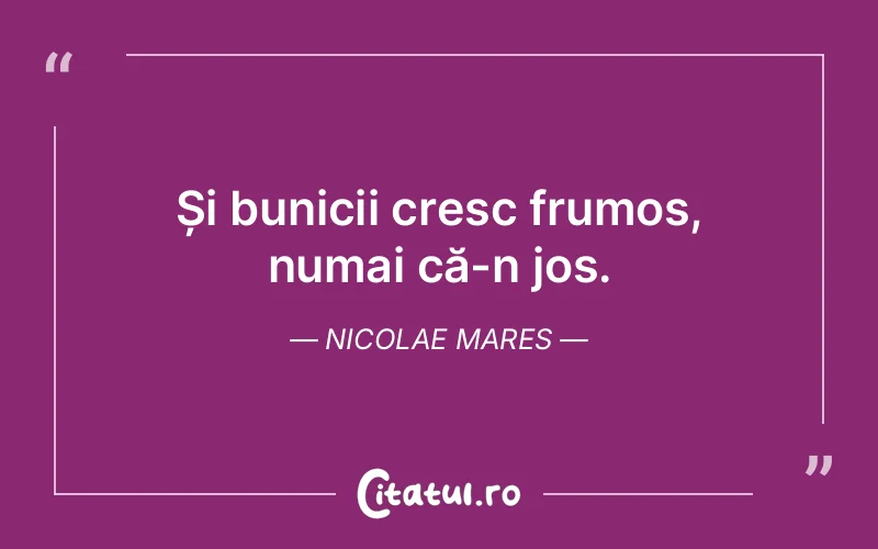 Citat Nicolae Mares - citate viata