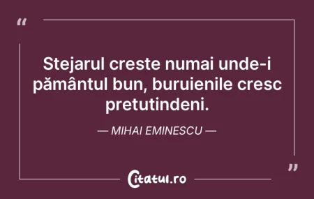 Înțelept este acela care trăiește î... Înțelept este acela care trăiește î...