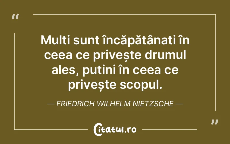 Citat Friedrich Wilhelm Nietzsche - citate viata