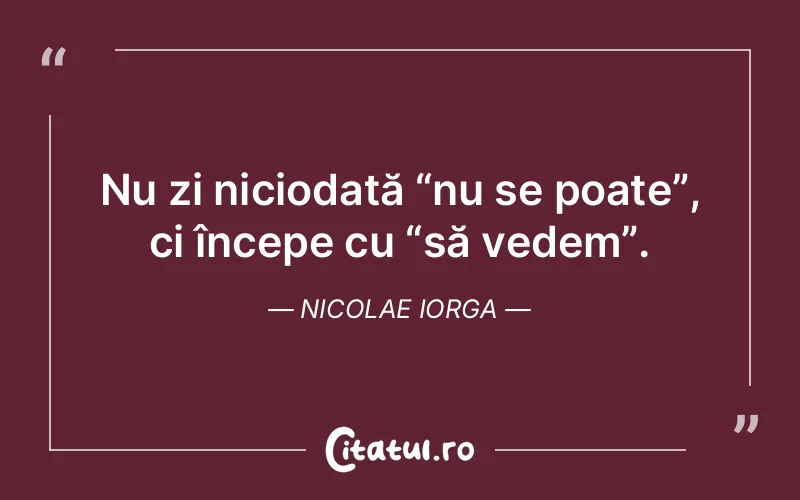 Citat Nicolae Iorga - citate viata