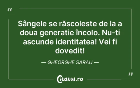 Cuvintele sunt vocea inimii. Confucius