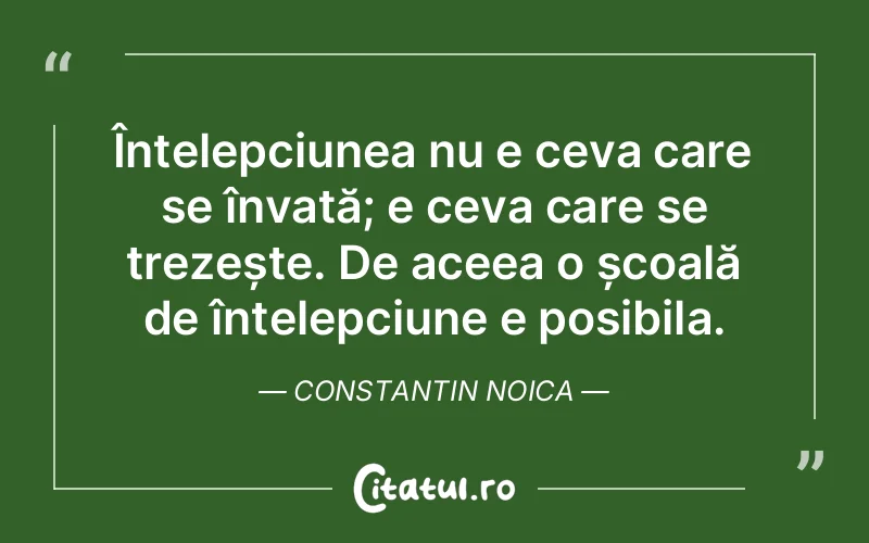 Citat Constantin Noica - citate viata