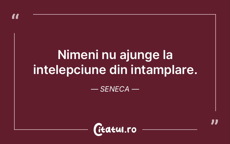 Citat Seneca - citate viata