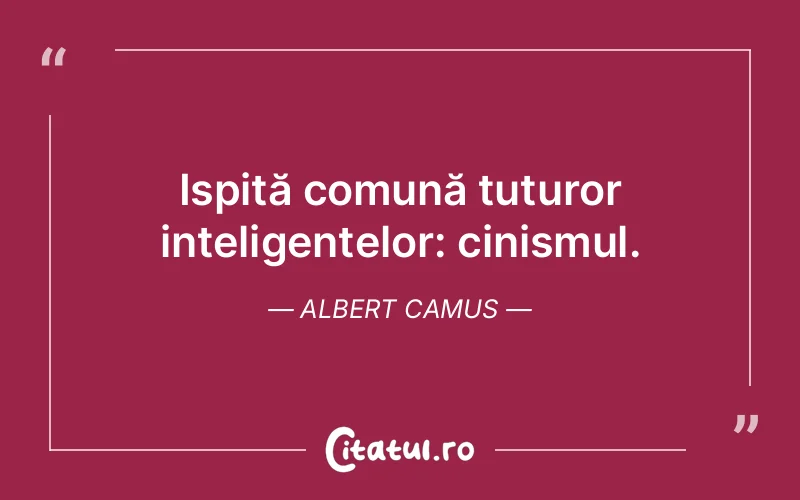 Citat Albert Camus - citate viata