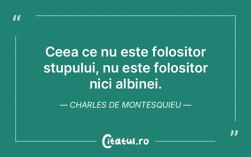 Citat Autor necunoscut - citate viata