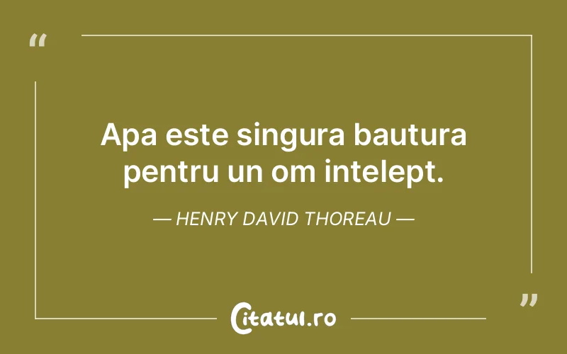 Citat Henry David Thoreau - citate viata