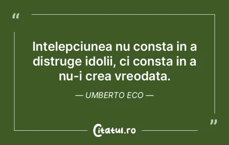 Am studiat multi filosofi si multe pisic... Am studiat multi filosofi si multe pisic...